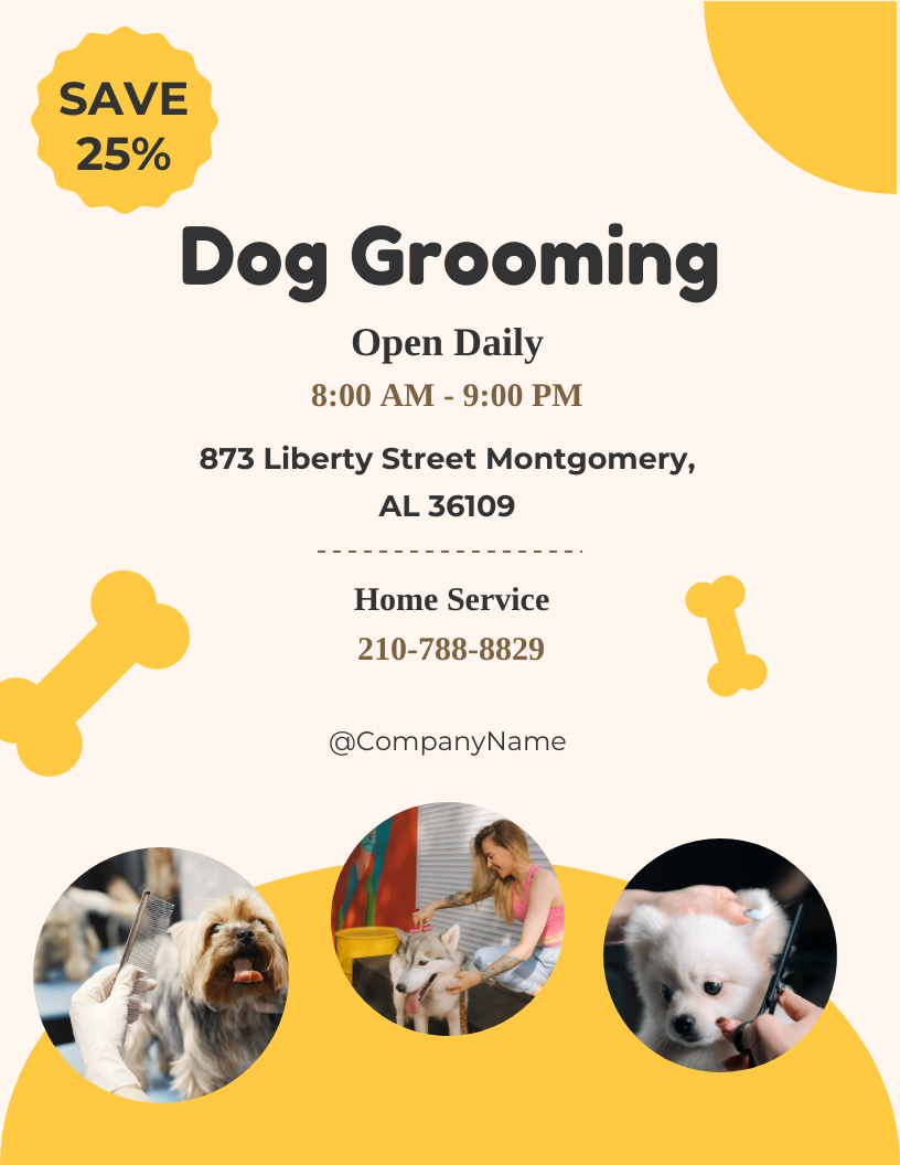 Playful pet flyer templates featuring breed-specific grooming packages, vaccination requirements, and spa add-ons for animal care businesses.